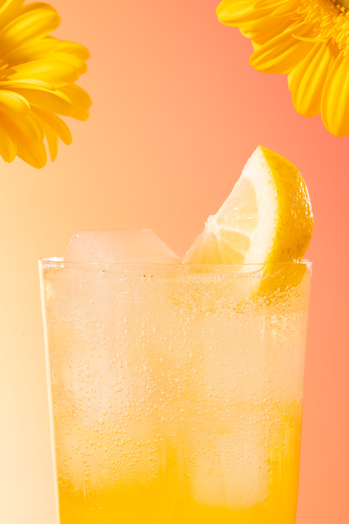 Dana Damewood Photography | Atlanta Georgia food photographer cocktail lemon 