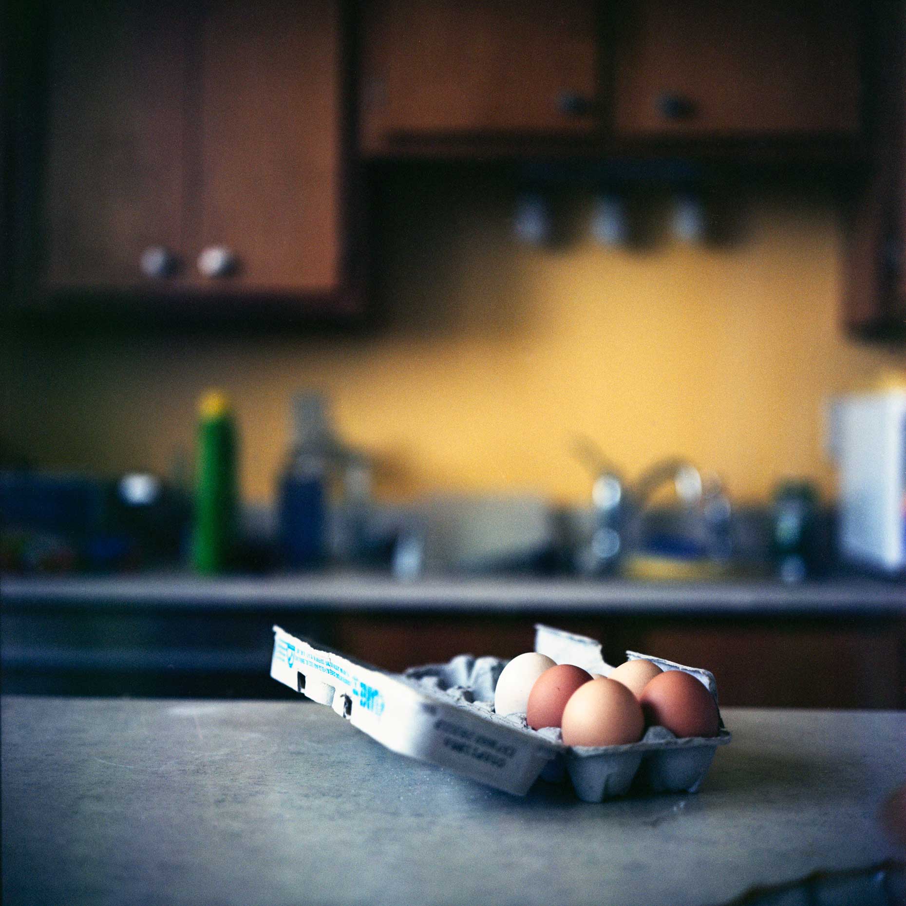 eggs