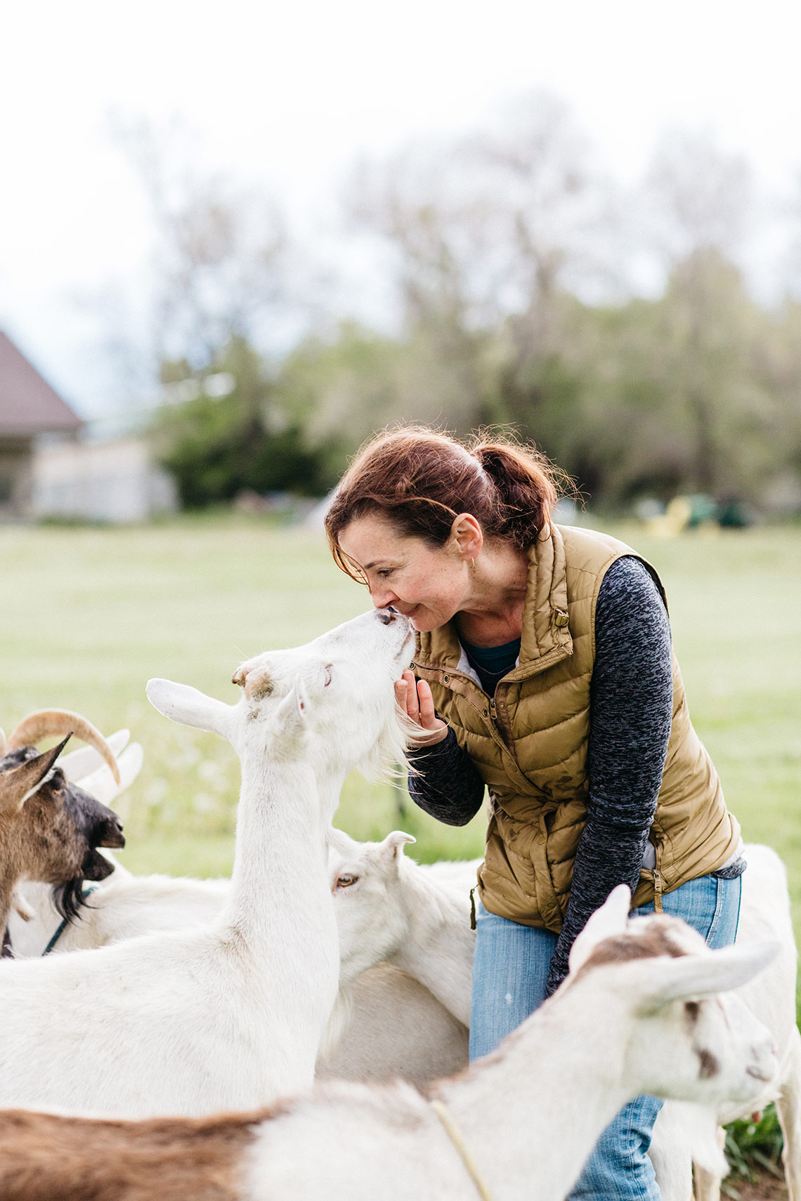 Dana Damewood Photography | Nebraska corporate photography farm to table food photography  7