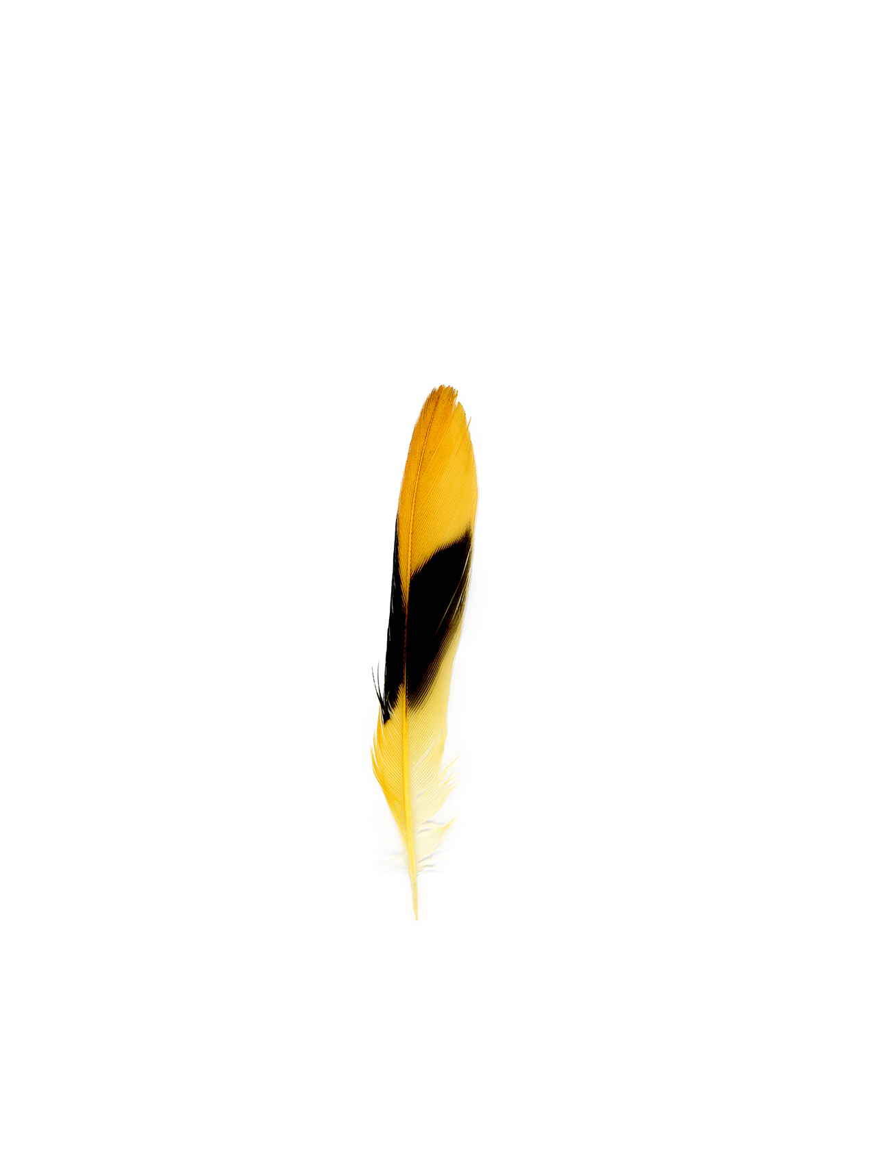 feather7