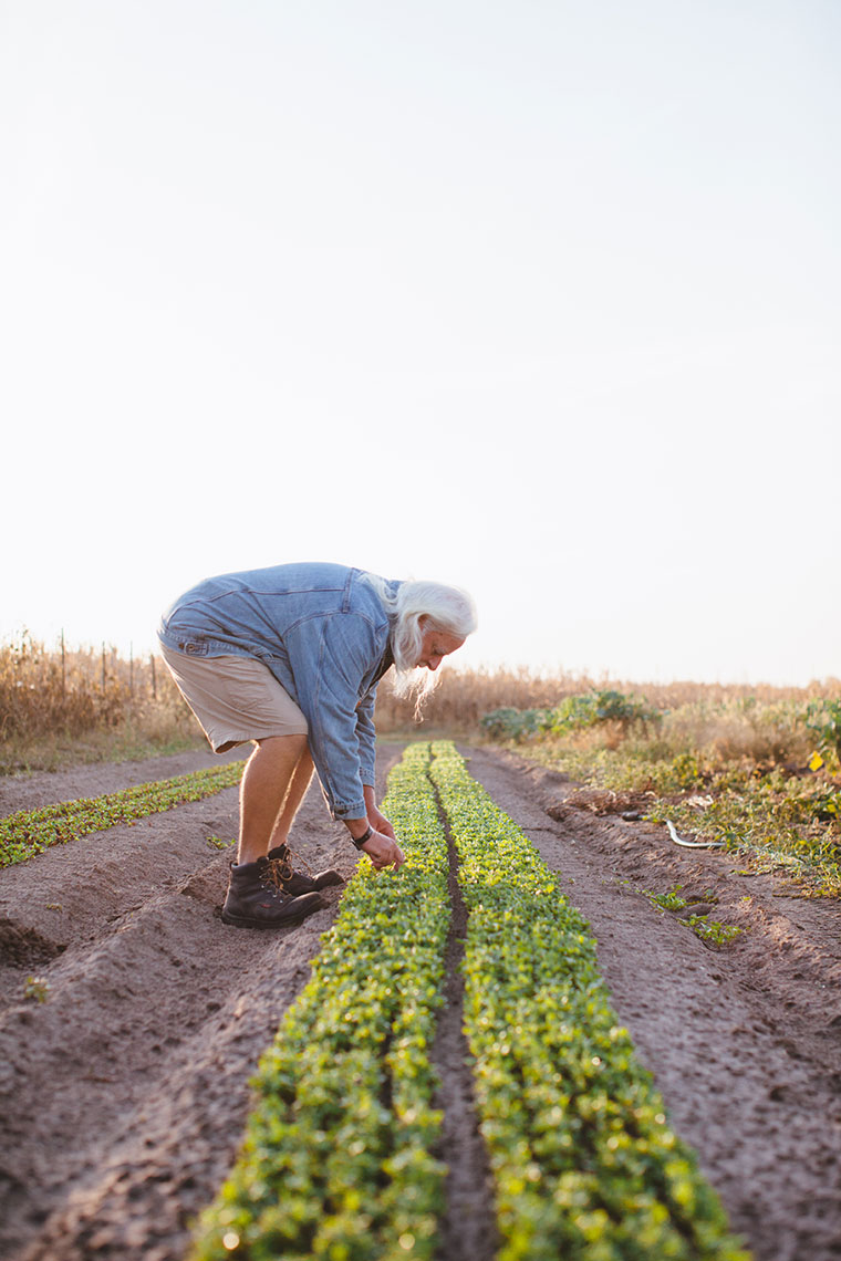 Food Photography Lifestyle Shoot at Cleverley Farms