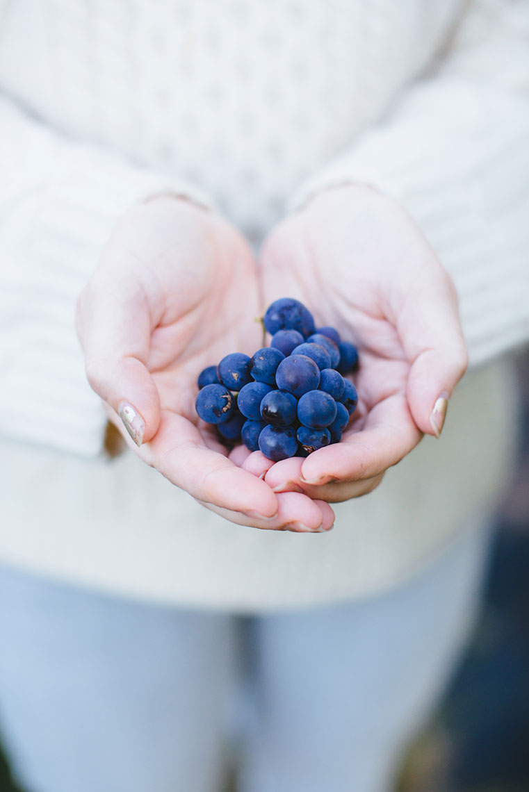 omaha_food_photographer_lifestyle142